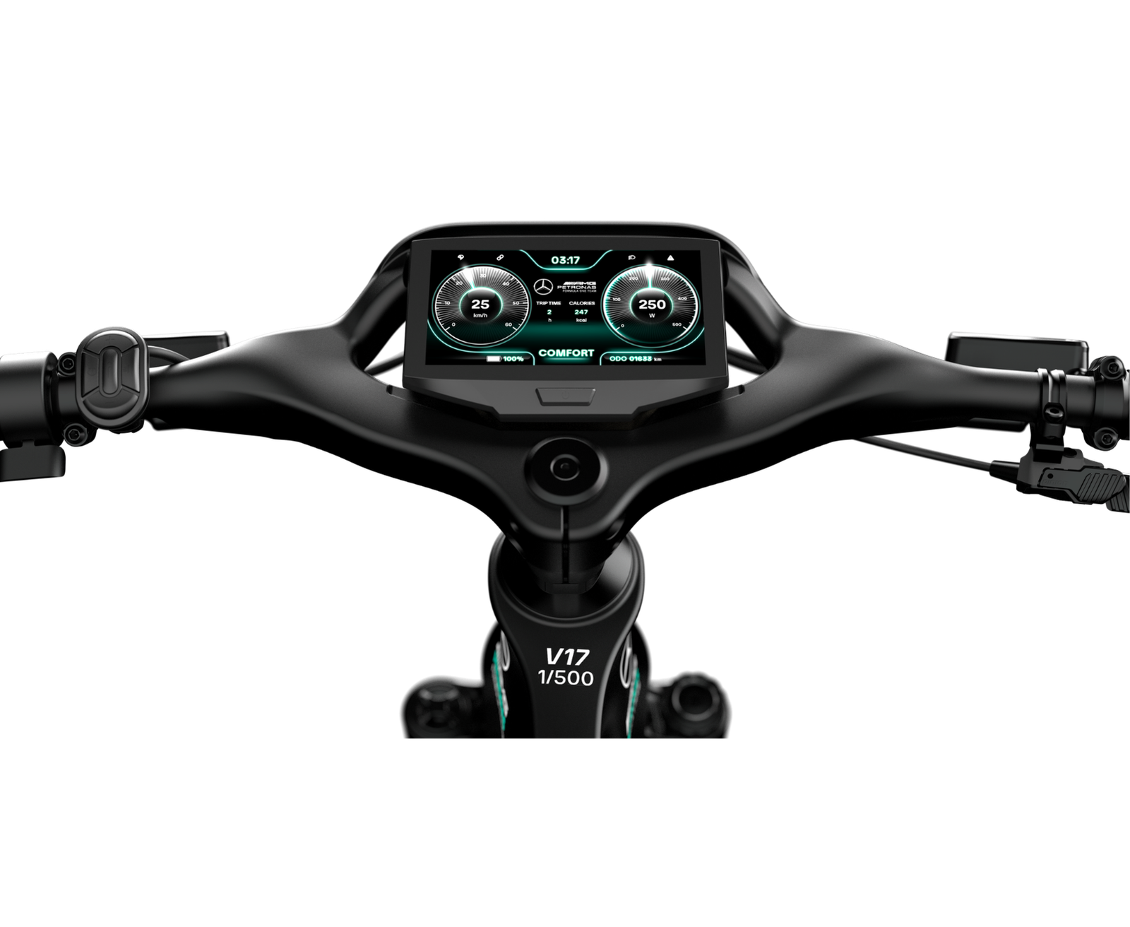 Limited Edition Mercedes-AMG PETRONAS F1® Team Rallye Edition 250 Electric Bike